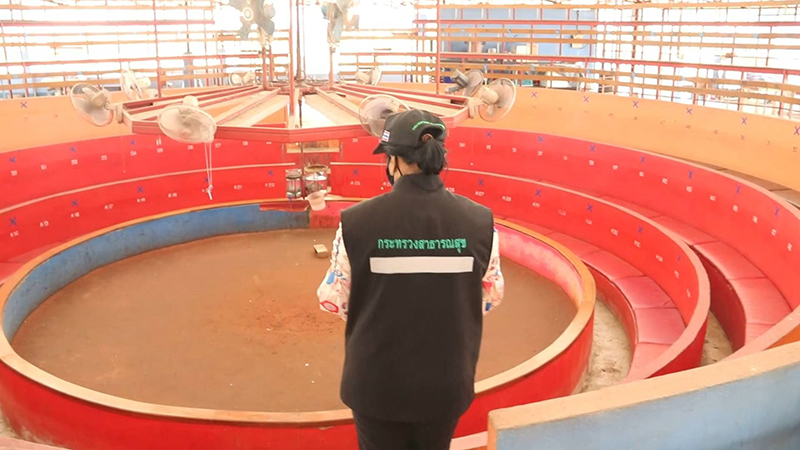 เจ้าของบ่อนไก่ชนชุมพร ขอโทษสังคม เปิดเชียร์ไก่กว่า 300 คน หวั่นโควิด 19 กระจาย