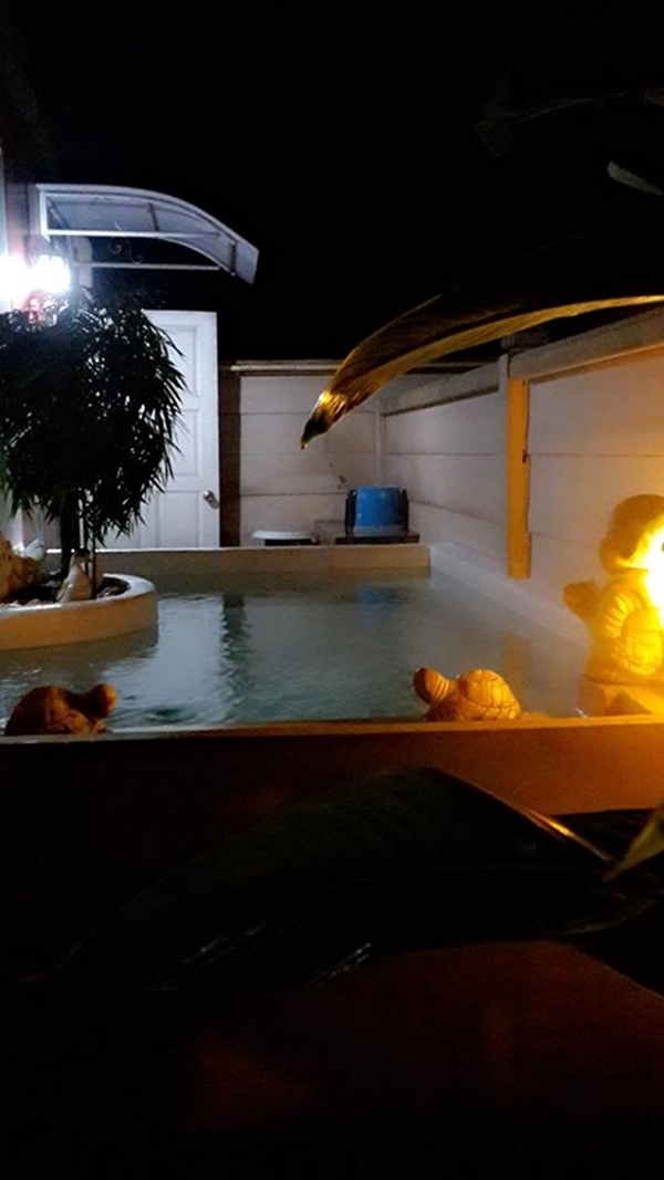 สระน้ำงบ 1 หมื่นบาท 