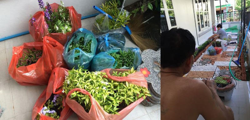 จัดสวนข้างบ้านทาวน์เฮ้าส์ และต่อเติมหลังคากันแดด