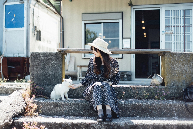 22 กุมภาพันธ์ วันแมวญี่ปุ่น