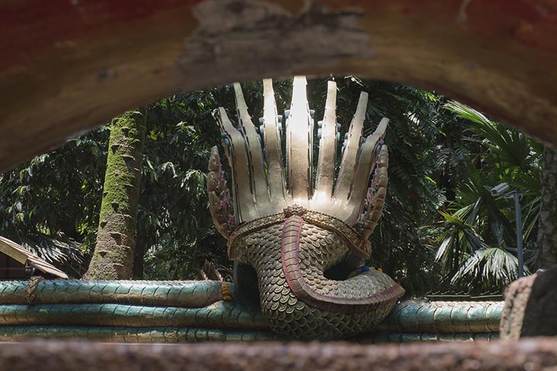 คำชะโนด