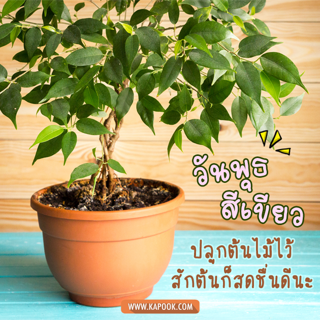 ดูดวงรายวัน