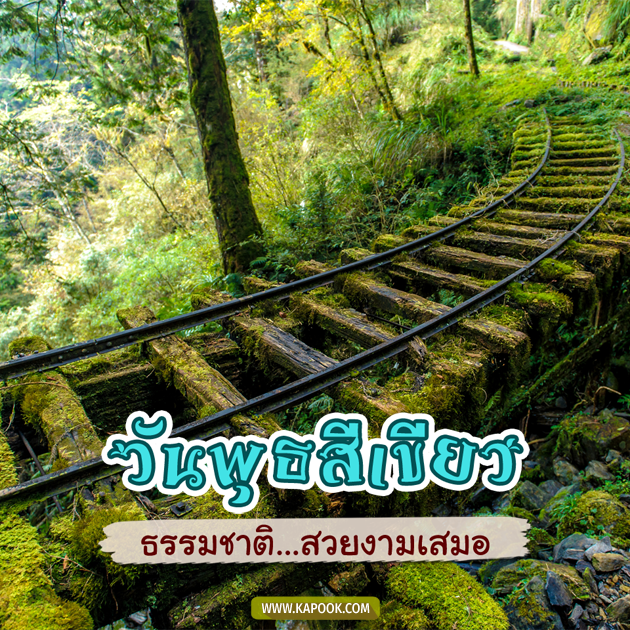 ดูดวงรายวัน