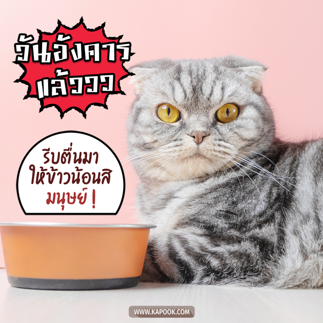 ดูดวงรายวัน