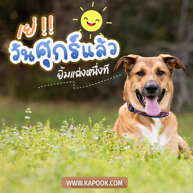 ดูดวงรายวัน