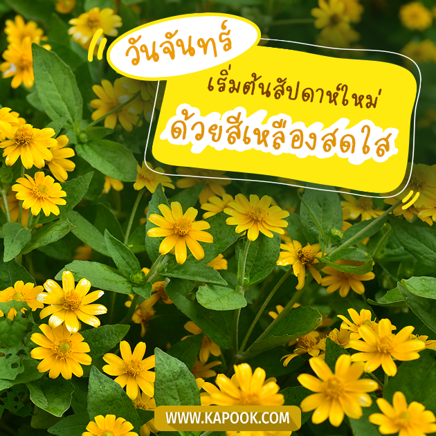 ดูดวงรายวัน