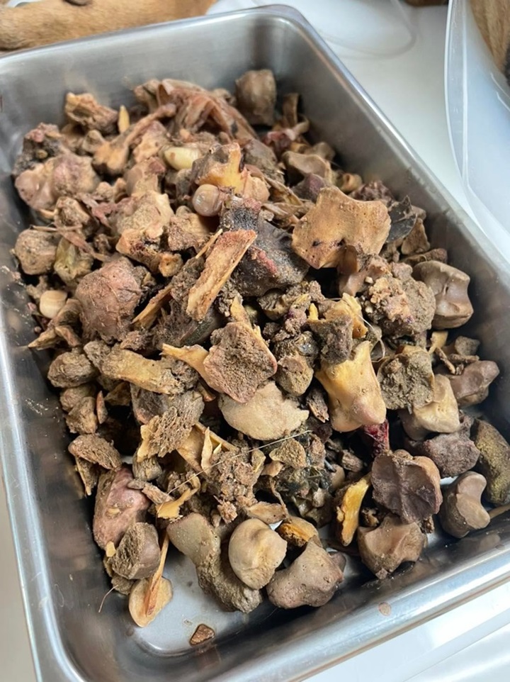 หมากินกระดูก