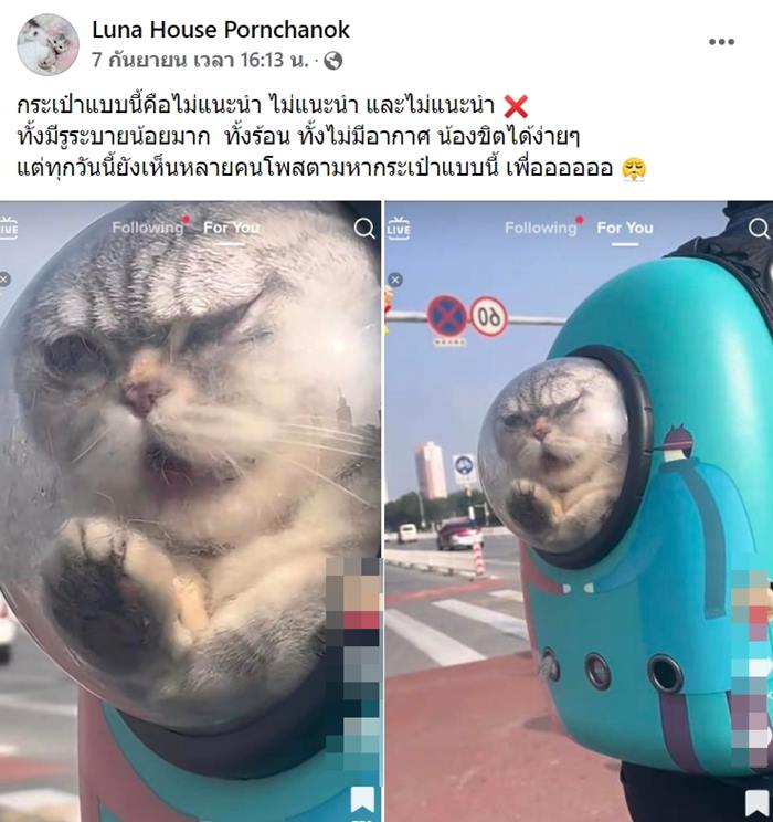 กระเป๋าอวกาศแมว