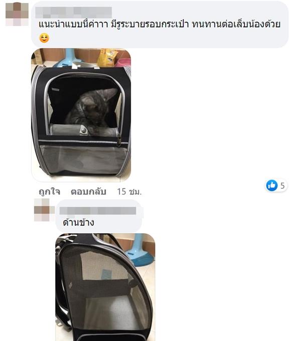 กระเป๋าอวกาศแมว