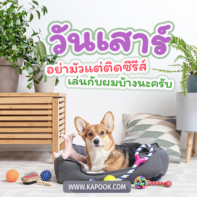 ดูดวง 3 ธันวาคม 2565