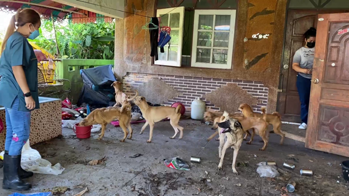 บุกช่วยสุนัข  