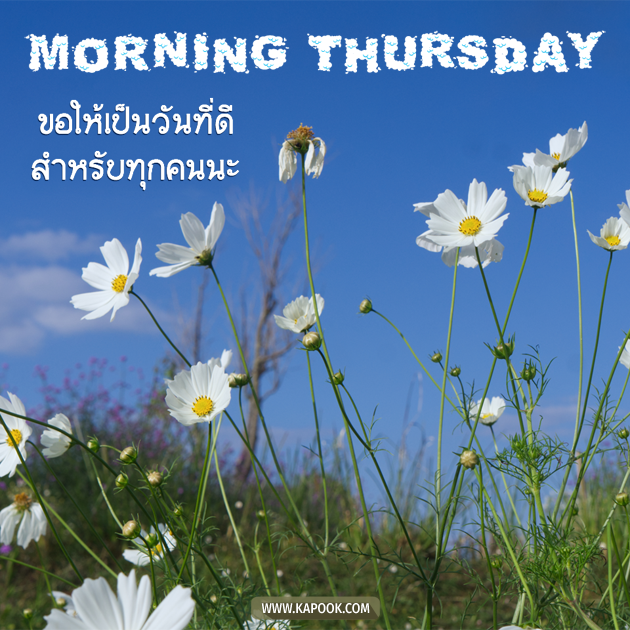 ดูดวงรายวัน วันที่ 27 มกราคม 2565