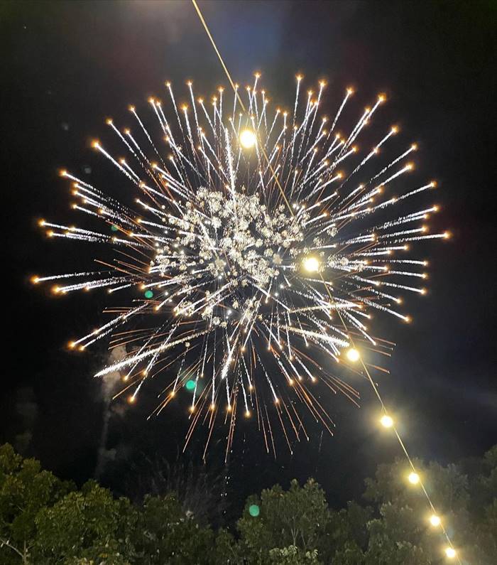 อนุทิน ชาญวีรกูล, โควิด 19