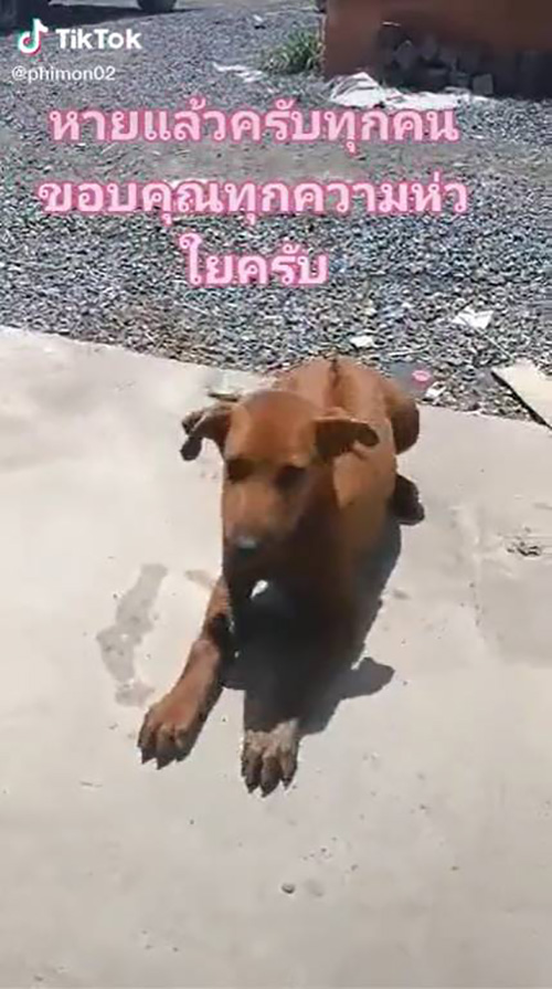 เจ๊กไปโดนอะไรมา !! หน้าบวมตุ่ย