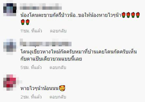 คอมเมนต์