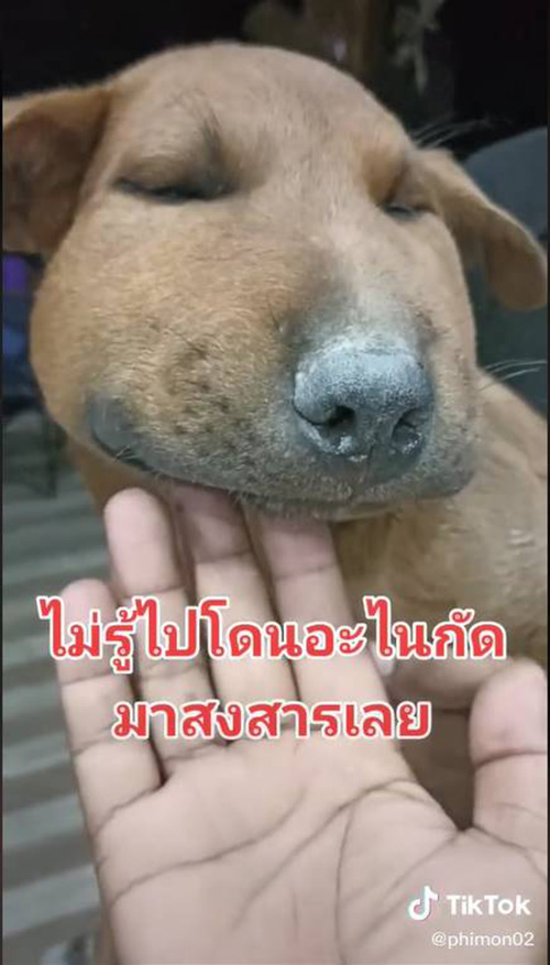 เจ๊กไปโดนอะไรมา !! หน้าบวมตุ่ย