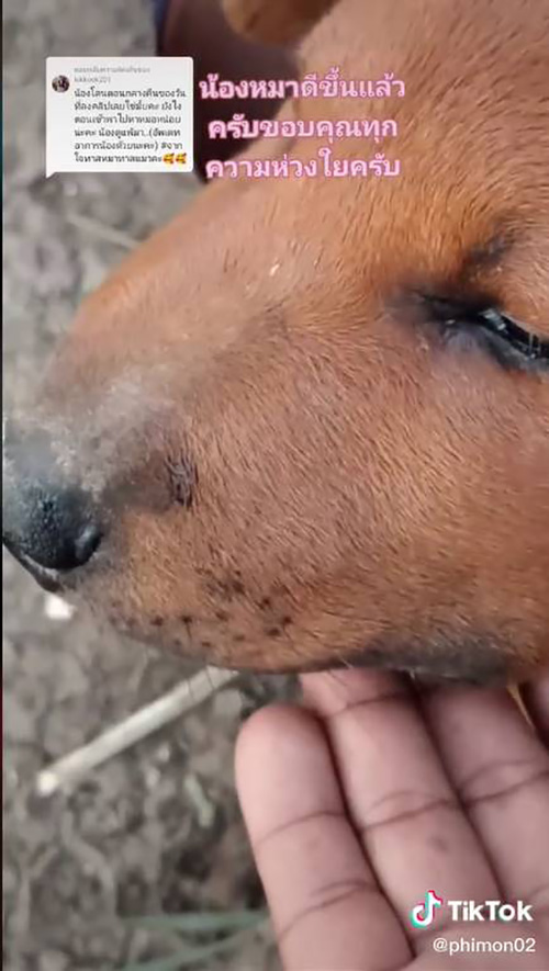 เจ๊กไปโดนอะไรมา !! หน้าบวมตุ่ย