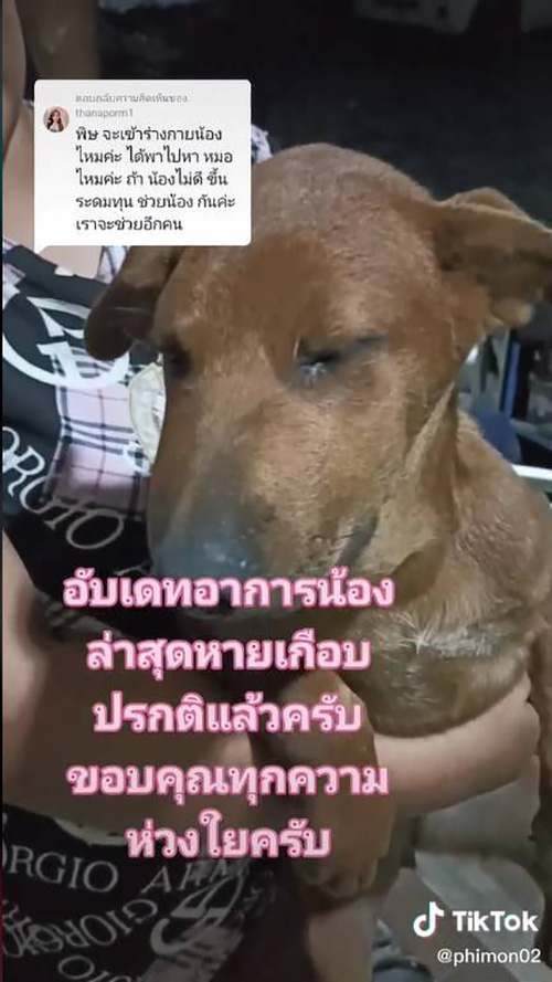 เจ๊กไปโดนอะไรมา !! หน้าบวมตุ่ย