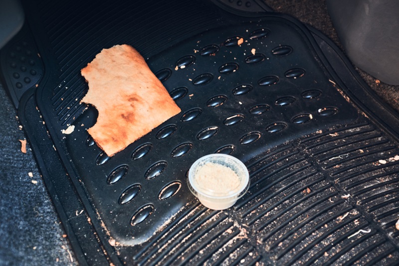 วิธีไล่หนูในรถ