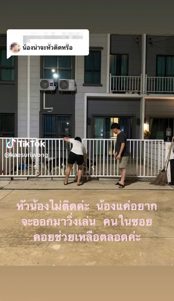 ดราม่า เพื่อนบ้านเลี้ยงไซบีเรียนเป็นฝูง