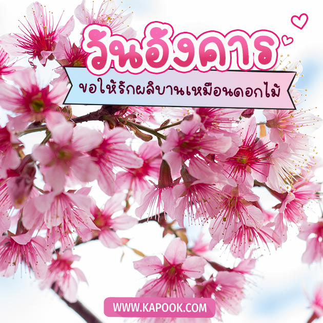 ดูดวงรายวัน