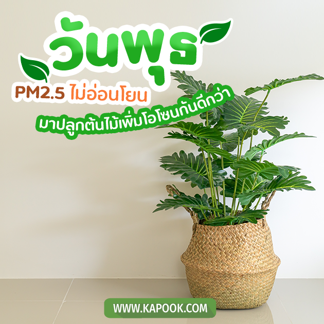 ดูดวงรายวัน