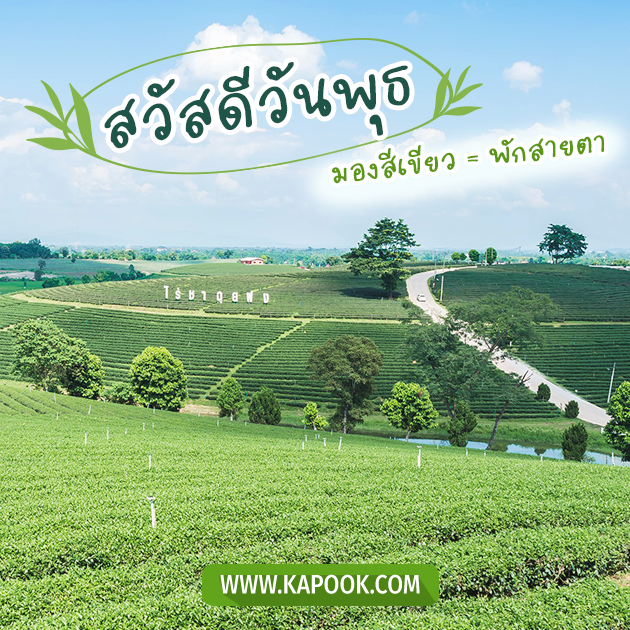 ดูดวงรายวัน