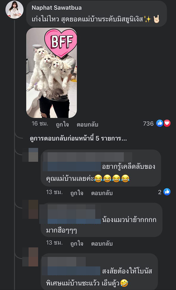 แม่บ้านกล่อมแมว