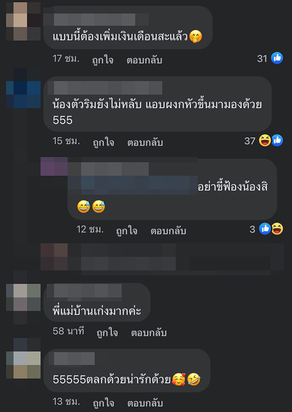 แม่บ้านกล่อมแมว