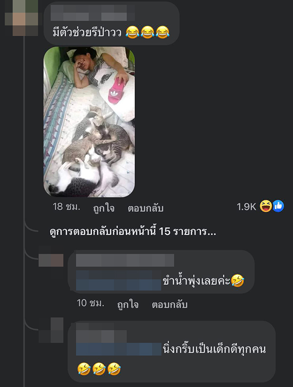 แม่บ้านกล่อมแมว