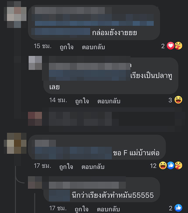 แม่บ้านกล่อมแมว