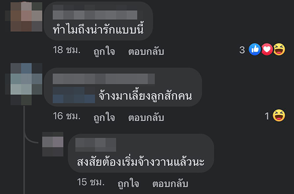 แม่บ้านกล่อมแมว