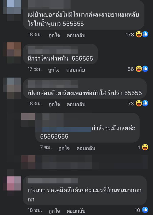 แม่บ้านกล่อมแมว