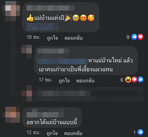 แม่บ้านกล่อมแมว