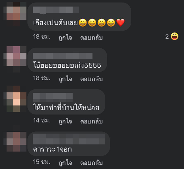 แม่บ้านกล่อมแมว