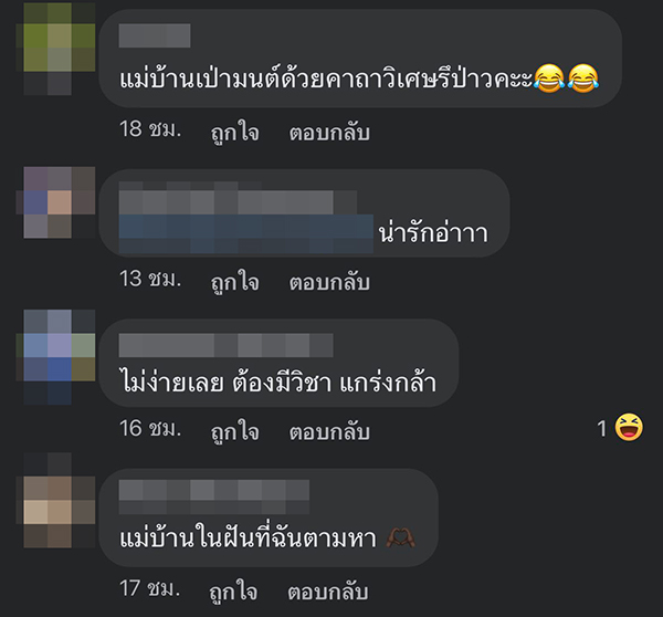 แม่บ้านกล่อมแมว