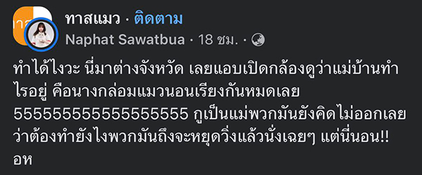 แม่บ้านกล่อมแมว