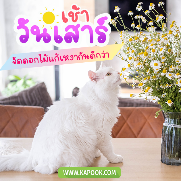 ดูดวงวันนี้ 3 มิถุนายน 2566