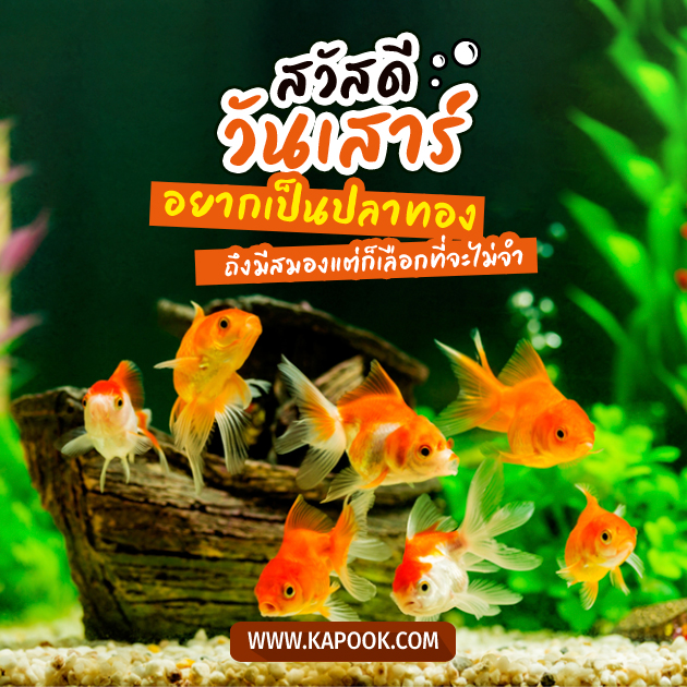 ดูดวงวันนี้ 11 มีนาคม 2566