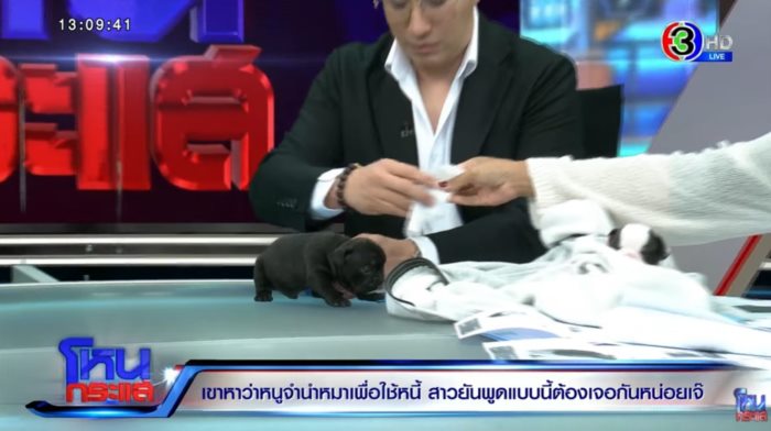 โหนกระแส