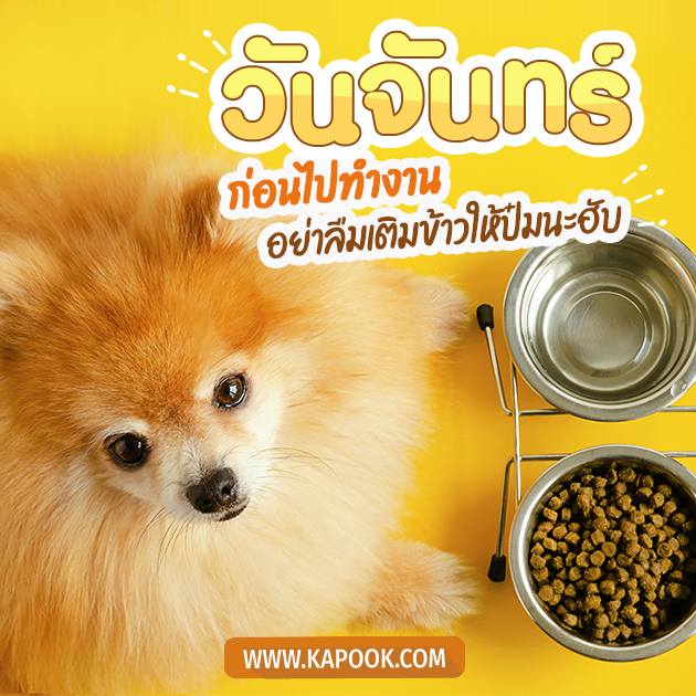 ดูดวงรายวัน วันที่ 27 มีนาคม 2566