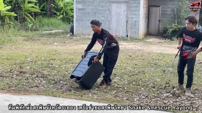 เลขเด็ดงวดนี้