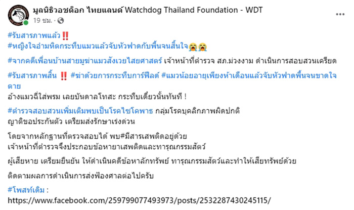 แมวหายทุกวันพระเพื่อนบ้านจับบูชายัญ อ้างเป็นไซโคพาธ