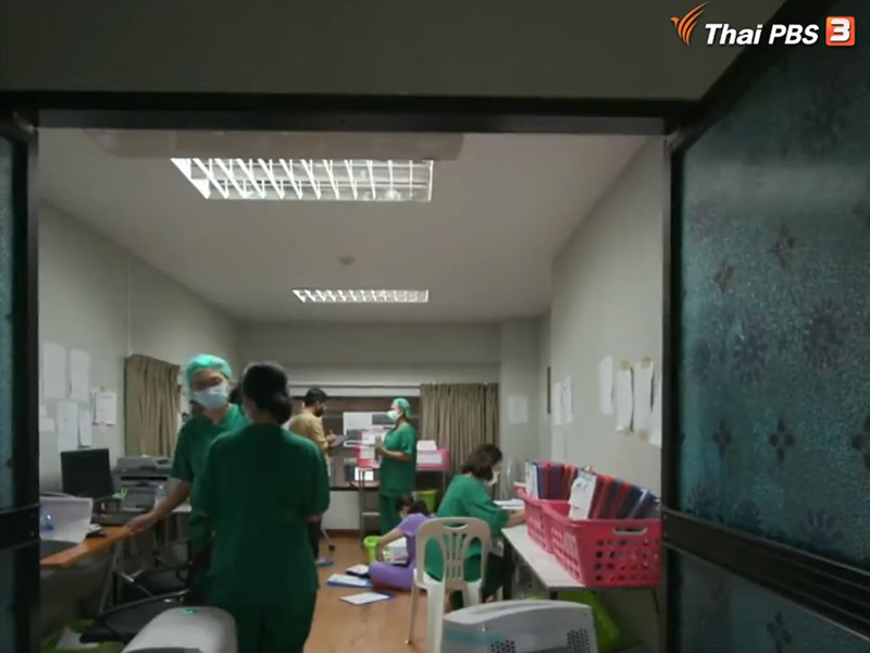 เปิดผลวิจัย ฟ้าทะลายโจร ช่วยลดปอดอักเสบ เชื้อโควิด ไม่ได้ กินติดกัน 5 วัน เสี่ยงตับพัง