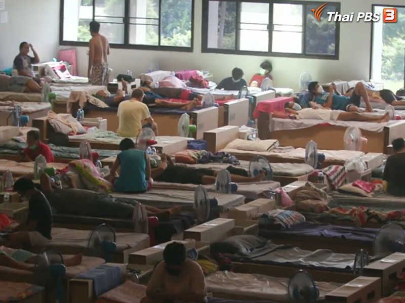 เปิดผลวิจัย ฟ้าทะลายโจร ช่วยลดปอดอักเสบ เชื้อโควิด ไม่ได้ กินติดกัน 5 วัน เสี่ยงตับพัง