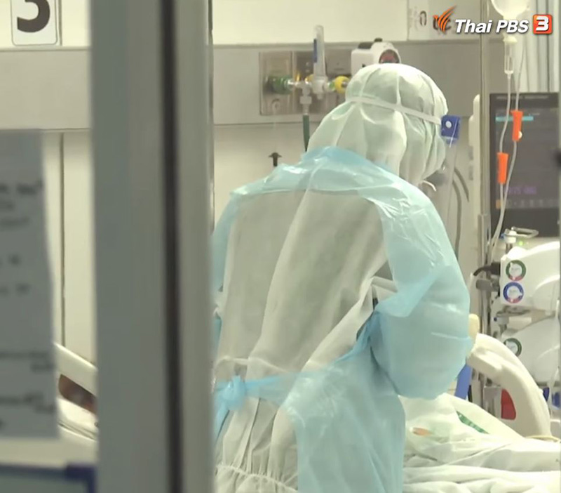 เปิดผลวิจัย ฟ้าทะลายโจร ช่วยลดปอดอักเสบ เชื้อโควิด ไม่ได้ กินติดกัน 5 วัน เสี่ยงตับพัง