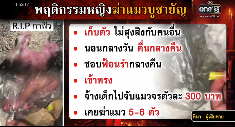 เพื่อนบ้านฆ่าแมว