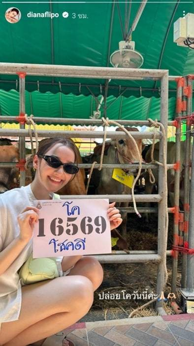 เดียร์น่า ฟลีโป