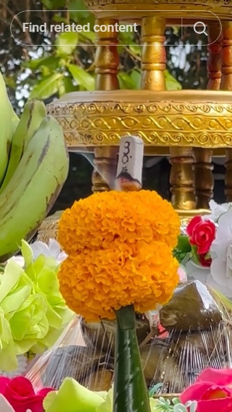 เลขเด็ด ฮาย อาภาพร