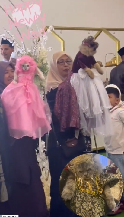 เพื่อนเจ้าสาวหน้าแปลก